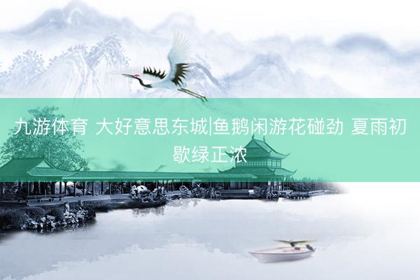 九游体育 大好意思东城|鱼鹅闲游花碰劲 夏雨初歇绿正浓