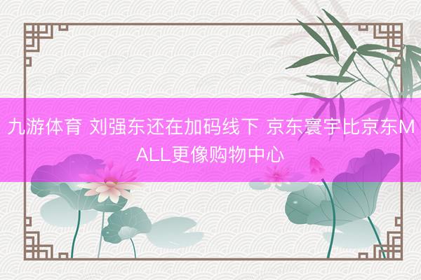 九游体育 刘强东还在加码线下 京东寰宇比京东MALL更像购物中心