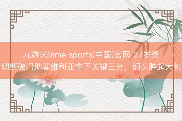 九游9Game sports(中国)官网 37岁桑切斯破门助塞维利亚拿下关键三分，额头肿起大包
