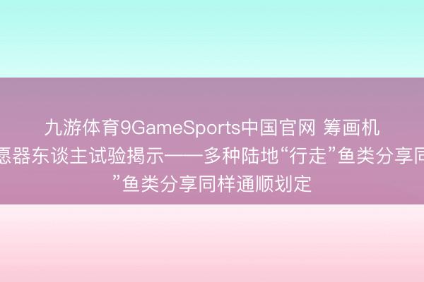 九游体育9GameSports中国官网 筹画机模拟与仿盼愿器东谈主试验揭示——多种陆地“行走”鱼类分享同样通顺划定